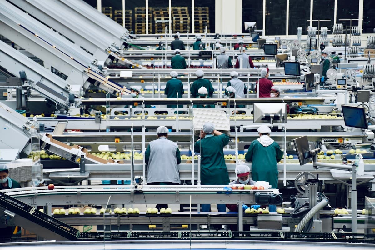 Workers placed by Optimal Staff in EU manufacturing